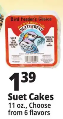 Ocean State Job Lot Bird Feeder's Choice High Energy Suet 11 oz offer