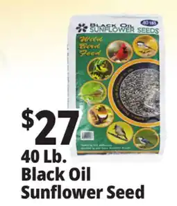 Ocean State Job Lot Black Oil Sunflower Seeds 40 lbs offer