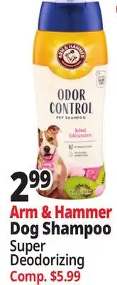 Ocean State Job Lot Arm & Hammer Dog Shampoo offer