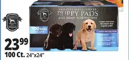 Ocean State Job Lot Puppy Pads offer