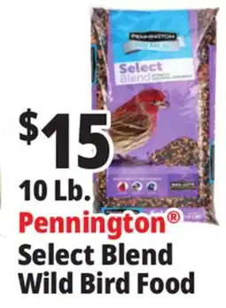 Ocean State Job Lot Pennington Premium Select Blend Wild Bird Food offer