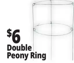 Ocean State Job Lot Peony Double Ring Plant Support 18 x 36 offer