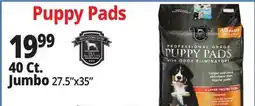 Ocean State Job Lot 40 Ct. Jumbo Puppy Pads offer