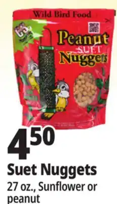 Ocean State Job Lot Suet Nuggets offer