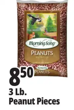 Ocean State Job Lot Peanut Pieces offer