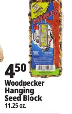 Ocean State Job Lot Woodpecker Hanging Seed Block offer