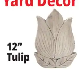 Ocean State Job Lot 12 Tulip offer