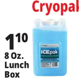 Ocean State Job Lot Cryopak Ice Pack Lunch Size offer