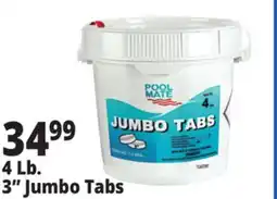 Ocean State Job Lot 3 Jumbo Tabs offer