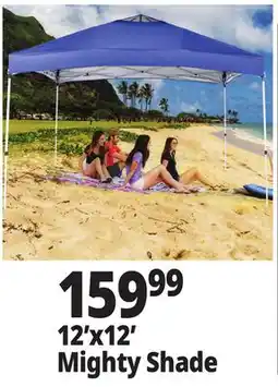 Ocean State Job Lot Mighty Shade offer