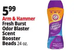 Ocean State Job Lot Arm & Hammer Fresh Burst Odor Blaster Scent Booster Beads offer