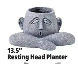 Ocean State Job Lot 13.5 Resting Head Planter offer