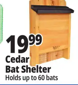 Ocean State Job Lot Cedar Bat Shelter offer
