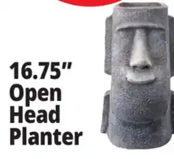 Ocean State Job Lot Open Head Planter offer