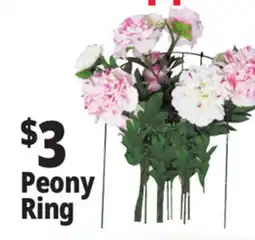 Ocean State Job Lot Peony Ring offer