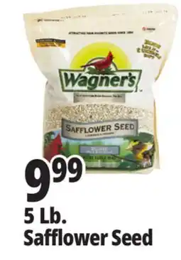 Ocean State Job Lot Wagner's Safflower Seed Deluxe Wild Bird Food offer