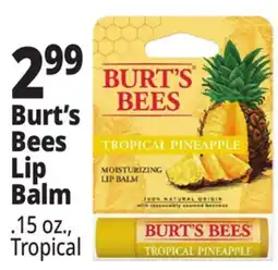 Ocean State Job Lot Burt's Bees Lip Balm offer
