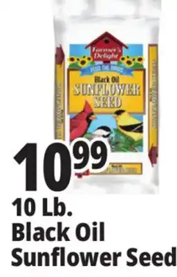 Ocean State Job Lot 10 Lb. Black Oil Sunflower Seed offer