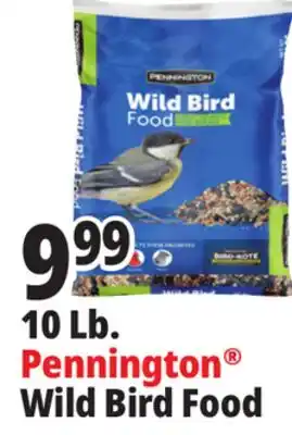 Ocean State Job Lot Pennington Wild Bird Food 10 lbs offer