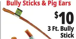 Ocean State Job Lot 3 Ft. Bully Stick offer
