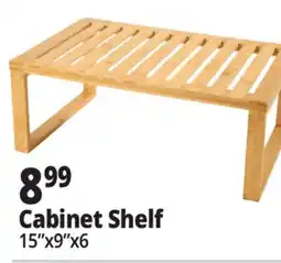 Ocean State Job Lot Cabinet Shelf offer