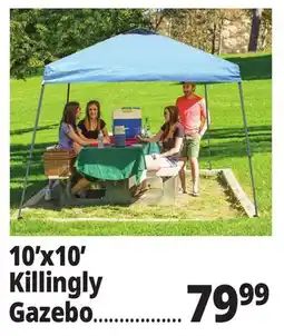 Ocean State Job Lot Killingly 10'x10' One-Touch Pop-Up Gazebo offer
