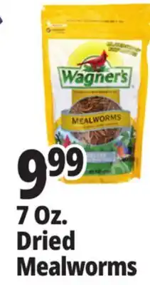 Ocean State Job Lot Wagner's Bird Meal Worms 7oz offer