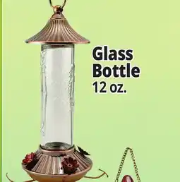 Ocean State Job Lot Hummingbird Feeders Glass Bottle offer