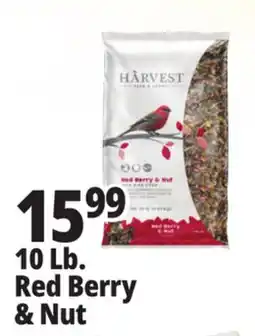 Ocean State Job Lot Harvest Seed & Supply Red Berry & Nut Wild Bird Food 10 lb offer