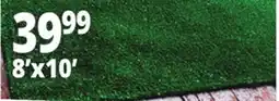 Ocean State Job Lot Artificial Grass Turf offer