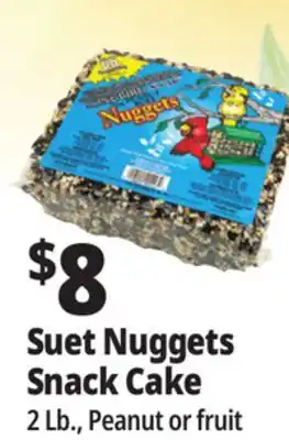 Ocean State Job Lot Suet Nuggets Snack Cake offer