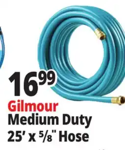 Ocean State Job Lot Gilmour Medium Duty 25' 5/8 Hose offer