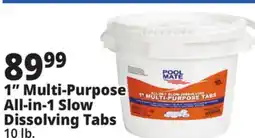 Ocean State Job Lot Pool Mate All-In-1 Slow-Dissolving 1 Multi-Purpose Tabs 10 lbs offer