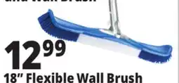 Ocean State Job Lot SwimWorks Flexible Wall Brush offer