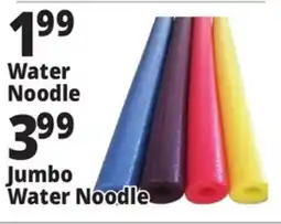Ocean State Job Lot Water Noodle offer