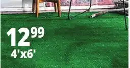 Ocean State Job Lot Artificial Grass Turf offer