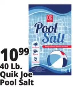 Ocean State Job Lot Pool Salt 40 lbs offer