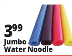 Ocean State Job Lot Jumbo Pool Noodle offer