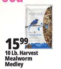 Ocean State Job Lot 10 Lb. Harvest Mealworm Medley offer