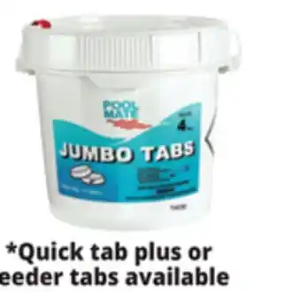 Ocean State Job Lot Pool Mate 3 Jumbo Chlorine Tabs 4 lbs offer