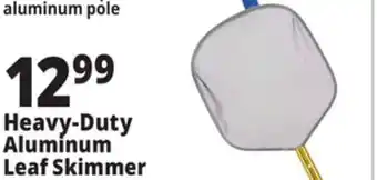 Ocean State Job Lot SwimWorks Heavy-Duty Aluminum Leaf Skimmer offer