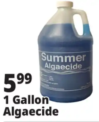 Ocean State Job Lot Summer Algaecide offer