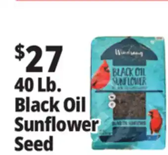 Ocean State Job Lot 40 Lb. Black Oil Sunflower Seed offer