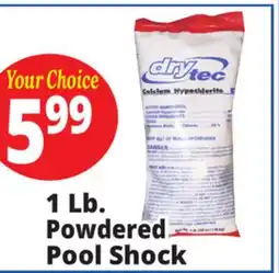 Ocean State Job Lot DryTec Powdered Pool Shock offer