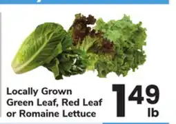 ACME Locally Grown Green Leaf, Red Leaf or Romaine Lettuce offer