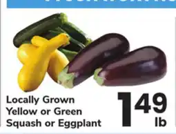ACME Locally Grown Yellow or Green Squash or Eggplant offer