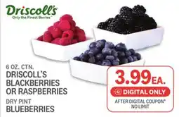 Kings Food Markets DRISCOLL'S BLACKBERRIES OR RASPBERRIES DRY PINT BLUEBERRIES offer