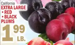 C Town EXTRA LARGE • RED • BLACK PLUMS offer
