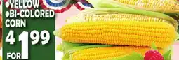 Bravo Supermarkets •YELLOW •BI-COLORED CORN offer