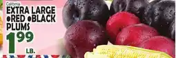 Bravo Supermarkets EXTRA LARGE RED & BLACK PLUMS offer